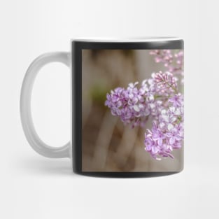 Lilac Mug